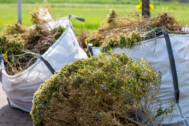 Best Yard Waste Removal  in Glenolden, PA